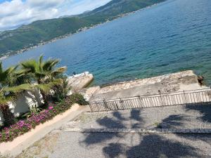 a staircase leading to the water with trees and flowers at Studio apartman Monte 2 in Tivat +5 photos