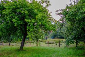 Galeriebild der Unterkunft Ráj pod Troskami in Semily
