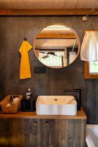 a bathroom with a sink and a mirror at Ráj pod Troskami in Semily