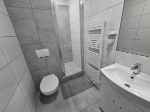 a bathroom with a shower and a toilet and a sink at Spirit apartments Brno, with parking in Brno