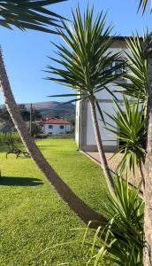 a pair of palm trees in front of a house at Cantinho do Minho - Ponte de Lima in Ponte de Lima