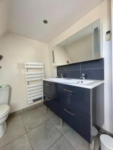 a bathroom with a sink and a toilet at Le Douare, Proche centre-ville, Parking in Morestel