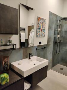 a bathroom with a sink and a shower at B e B Villa Livia in Rolo