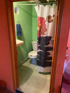 ein Badezimmer mit Toilette und Duschvorhang in der Unterkunft Espacio privado muy cerca del centro in Guanajuato