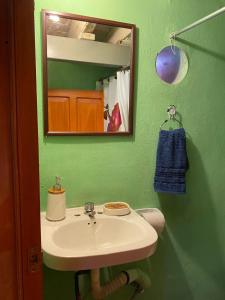 ein grünes Bad mit einem Waschbecken und einem Spiegel in der Unterkunft Espacio privado muy cerca del centro in Guanajuato