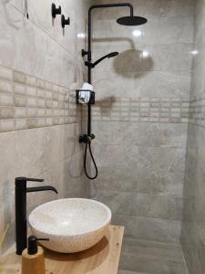 a bathroom with a sink and a shower at A casa do lajueiro in Arzúa