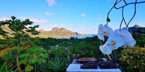 Gallery image of Hoakehu Lodge in Nuku Hiva