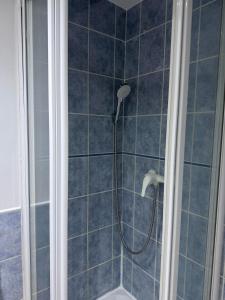 a shower with a shower head in a bathroom at Elegant Studio near Pompidou Center in Paris