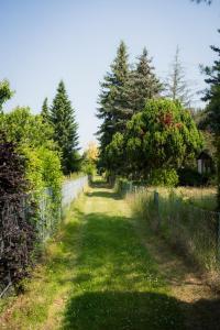 Imagen de la galería de Ferienwohnung Burgkemnitzer Weg, en Gröbern