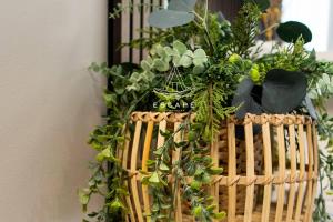 a basket full of plants on a wall at Lobos Dream Flat by Escape to Madeira in Câmara de Lobos