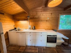 a kitchen with a stove and a sink in a cabin at Ferienwohnung Burgkemnitzer Weg in Gröbern +21 photos