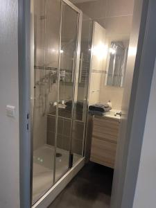 a bathroom with a shower and a sink at Le Studio des Demoiselles in Rochefort