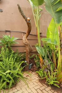 a garden with many plants and a tree branch at In Between Home in Lydenburg