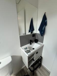 a bathroom with a white sink and a mirror at Chalés São Roque Studios in São Roque +3 photos