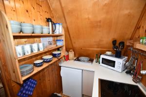 a small kitchen with a microwave on a counter at Finnhütten Waldesruh in Lochow +35 photos