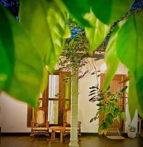 a room with two chairs and a column with plants at The Venora Blossom in Habarana
