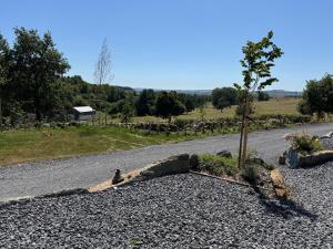 a tree on the side of a gravel road at L'Orée Lodge in Montcornet