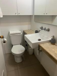 Un baño con un inodoro blanco y un lavabo. en Departamento Coyancura, en Santiago 12 fotos más