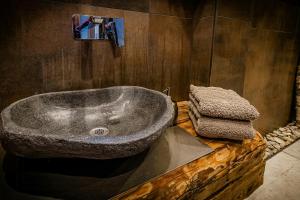 a bathroom with a large stone tub on a wooden counter at Modern Chalet With Sauna Near Thuringian Forest in Zella-Mehlis +21 photos