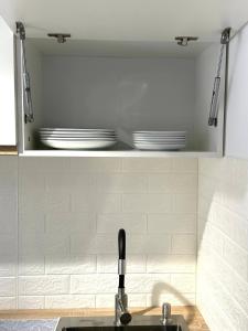 a kitchen sink with plates on a shelf above it at Pink House Karpaty in Krivorovnya