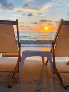 巴尔Tequila SunBeach Baru Eco-Hotel的相册照片