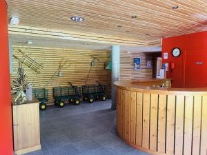 una hall con una parete in legno con una sala d'attesa con carrelli di Les 3 balcons du Mont Joly a Les Contamines-Montjoie