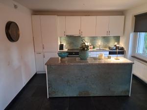 a kitchen with a large island in the middle at Appartement Villa du Golf & SPA in Payerne