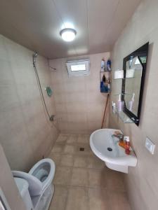 a small bathroom with a toilet and a sink at საოჯახო სასტუმრო,,ოდა ხიხანთან'' 