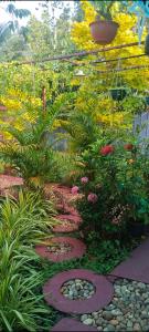 Zahrada ubytování Kuttappy dreams