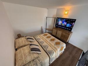 a bedroom with a bed and a flat screen tv at Le Cocon des Géants in Toulouse
