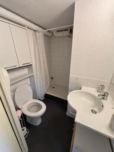 a small bathroom with a toilet and a sink at Le Cocon des Géants in Toulouse