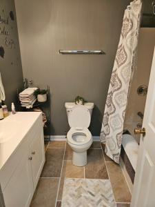 Un baño con inodoro, lavabo y ducha. en Hank and Margie's Place,  71 fotos más