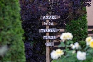 a wooden sign with street signs in front of flowers at Pensiunea Alina in Vama Buzăului