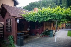 a wooden building with a bench and a tree at Pensiunea Alina in Vama Buzăului