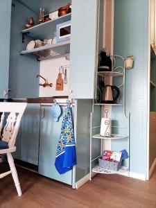 a kitchen with a blue refrigerator and shelves at Dal Buffo Gufo in Pila
