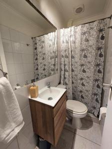 a bathroom with a sink and a toilet and a shower curtain at Spacious and beautiful house in Las Condes in Santiago +48 photos
