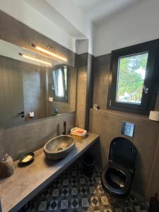a bathroom with a sink and a toilet and a mirror at Akti elia apartment in Kalogria
