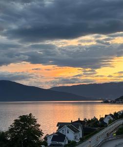 Naturlandskabet i nærheden af lejligheden