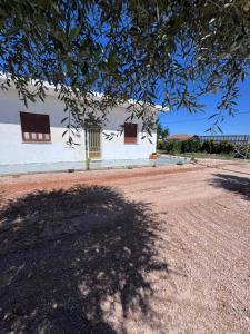 DhímitraPANKO Suite的建筑物侧面的树影