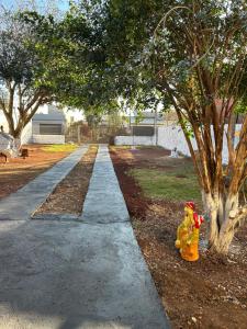多拉杜斯Casa Parque Alvorada com garagem e ar Condicionado的人行道旁的黄色消防栓
