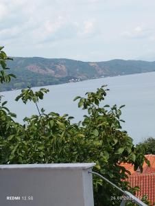 Fotografie z fotogalerie ubytování Vila Marini v destinaci Lin