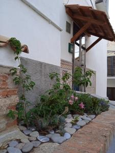 a garden in front of a building with flowers at Vico Poerio 1 in Tursi +5 photos