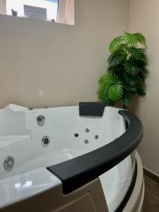 パンチェヴォにあるJacuzzi Apartman PK Pančevoのバスルーム(白いシンク、緑の植物付)