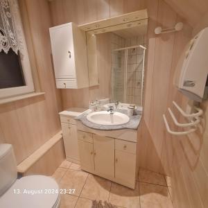 a bathroom with a sink and a mirror and a toilet at Comfortable Apartment in Beinheim +37 photos