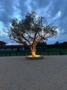 Fotografie z fotogalerie ubytování Dolcevita guest house v destinaci Torreano + 57 fotografií