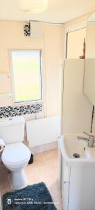 a bathroom with a toilet and a sink at Holender na Kujawach  +5 photos
