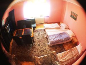 Fotografie z fotogalerie ubytování Guest House Pikapolonca v Mariboru