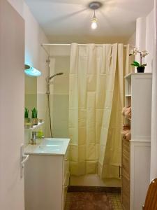 a bathroom with a shower curtain and a sink at Studio lumineux, 10min de Paris in Issy-les-Moulineaux