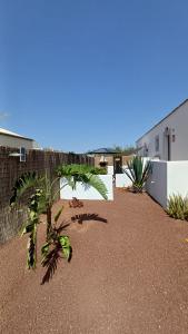 een plant in een tuin naast een hek bij Villa Elisa in Villaverde