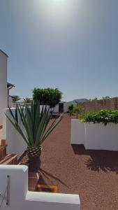 Ban công/sân hiên tại Villa Elisa +20 ảnh